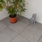 Aristoni